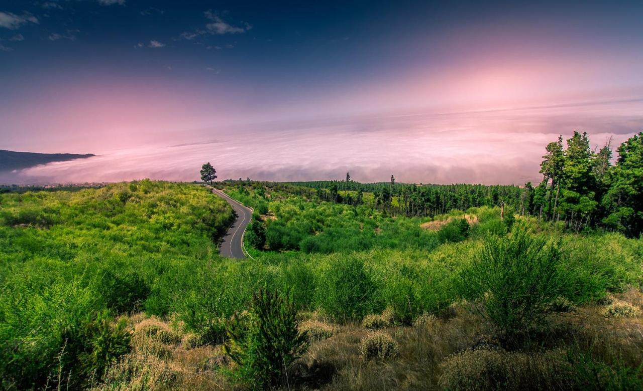 Tenerife Holidays Адехе Екстер'єр фото
