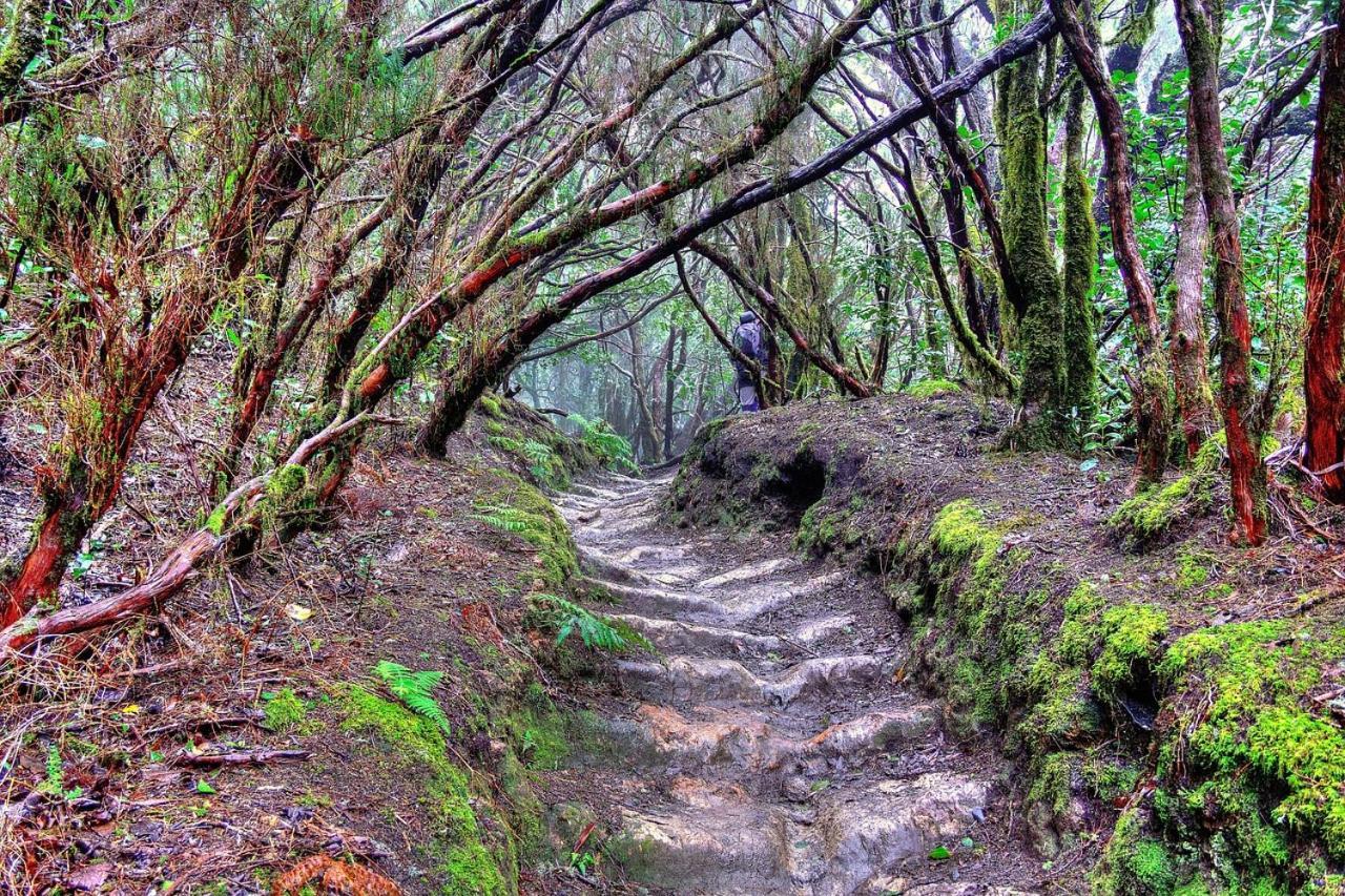 Tenerife Holidays Адехе Екстер'єр фото