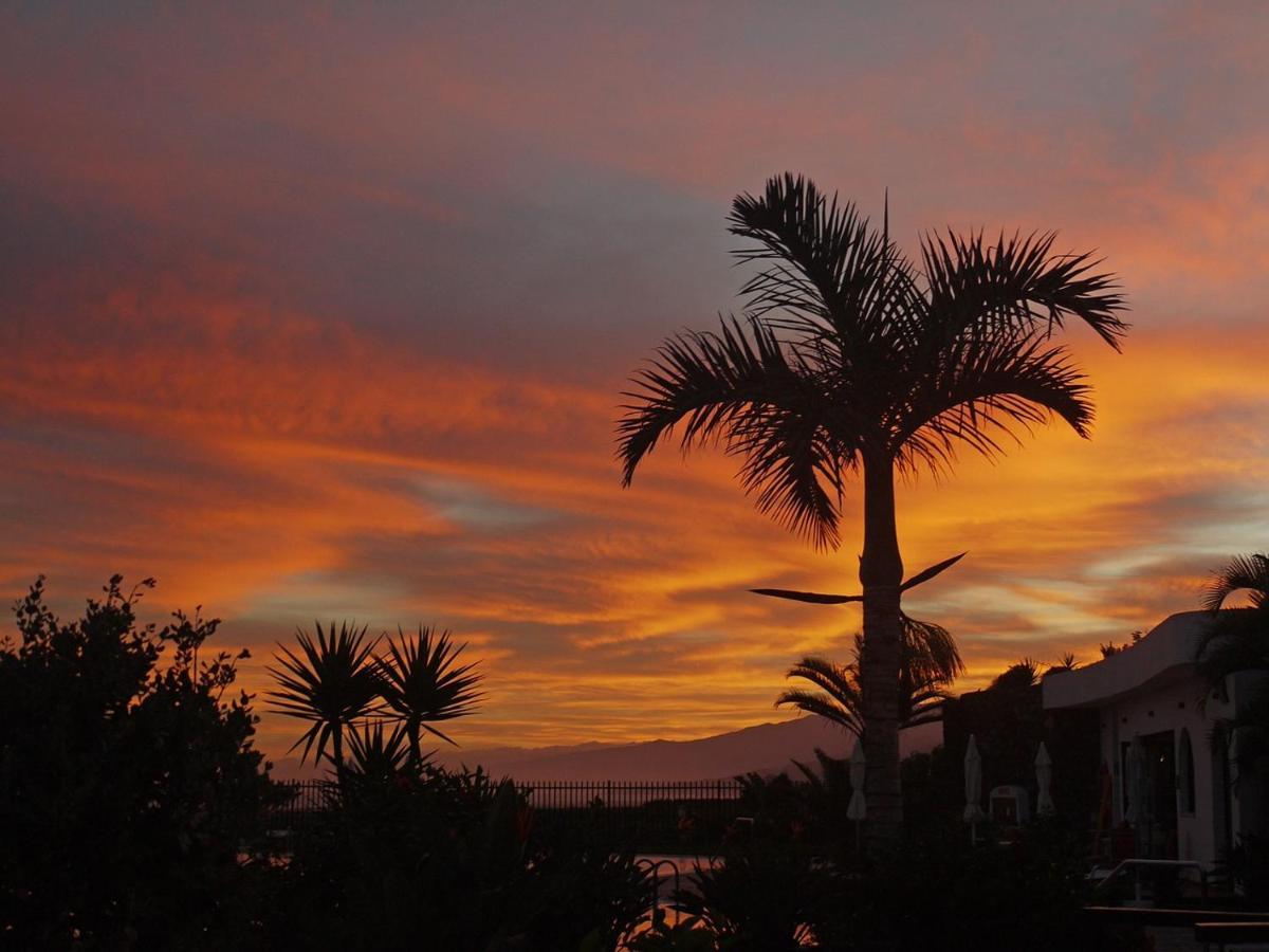 Tenerife Holidays Адехе Екстер'єр фото